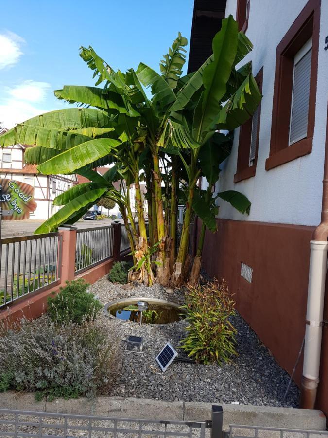 Marielies-Urlaubsstube Apartment Meissenheim Екстериор снимка